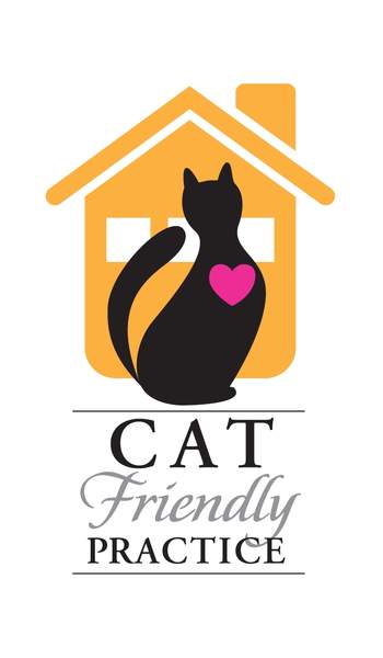 Cat friendly practice information