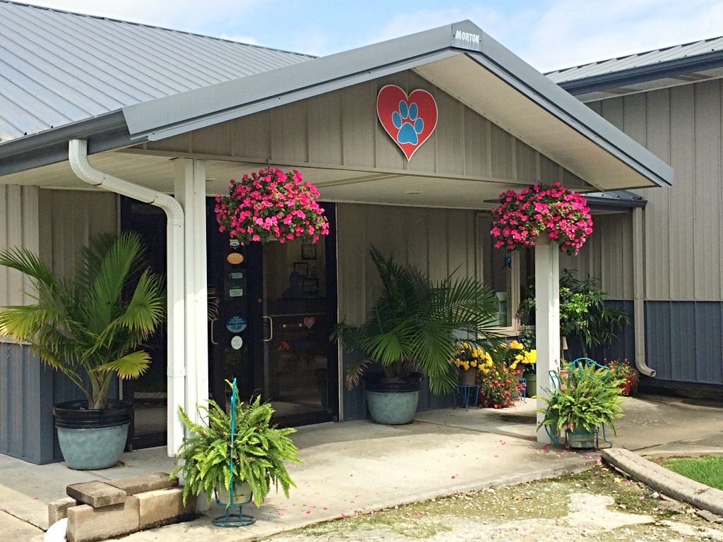 Front Entrance to Companion Care Veterinary Clinic in Lake Charles