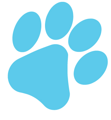 companion care animal clinic