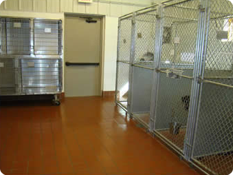 Kennels