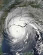 link to HSUS pet hurricane preparedness website